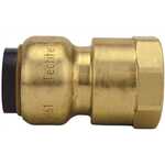 Plumbing 422034BB,  Premier Push-Fit Female Adapter..